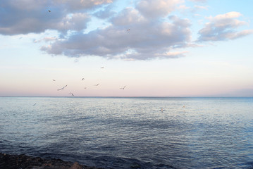 Fototapeta premium sunset over the sea