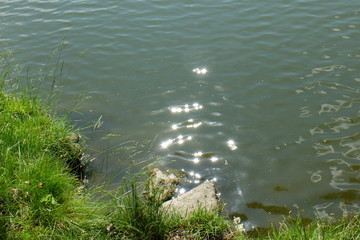 Lichtreflexe im Wasser des Sees