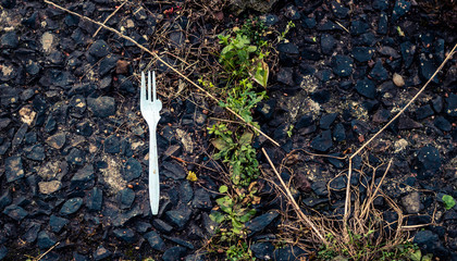 plastic fork on ground