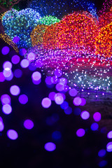 Christmas fantasy, colorful illumination lights decorated in garden.