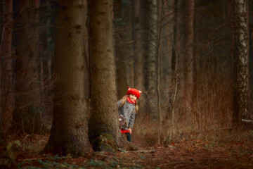 Little girl walking in autumn park 