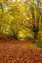 Parco Nazionale D'Abruzzo Lazio Molise