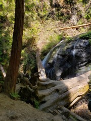 Waterfalls and fallen logs