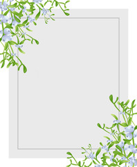 Winter background border with Mistletoe branches with green leaves and berries. on gray background with copy space.