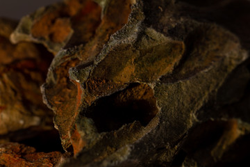 macro photo of rocks
