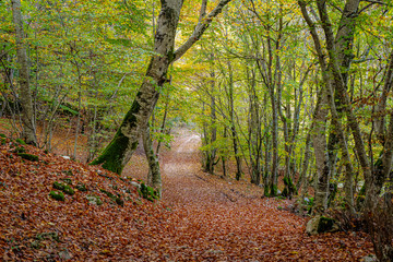 Parco Nazionale d'Abruzzo Lazio Molise