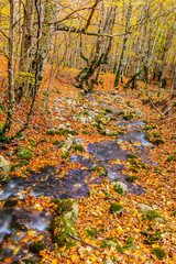 Parco Nazionale d'Abruzzo Lazio Molise