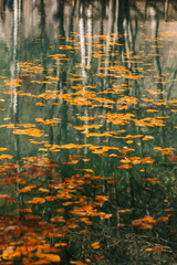 Autumn landscape in (seven lakes) Yedigoller National Park Bolu, Turkey