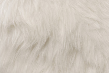 White flufy textile close-up. Faux fur background.