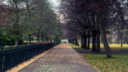 long park walkway in autumn