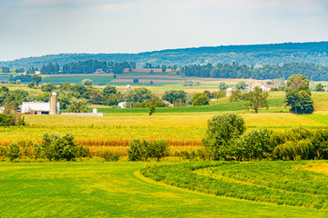 Amish country farm barn field agriculture in Lancaster, PA US - obrazy, fototapety, plakaty