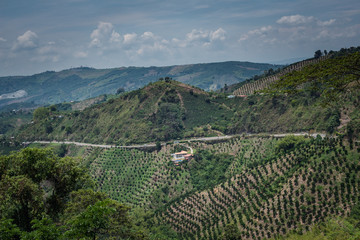 Cultivos de Café y productos agricolas camino a Manizales desde el municipio de Chinchiná Caldas en Colombia