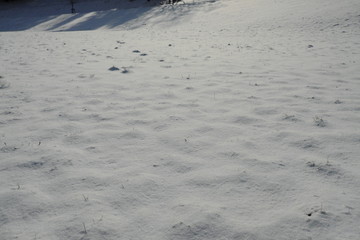 雪に覆われた地面