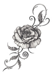 Art Design Rose Tattoo.Hand drawing on paper.