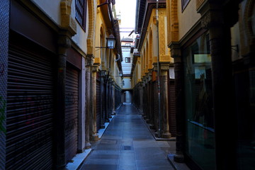 Fototapeta na wymiar Street view of historic section of Granada, Andalusia, Spain, spanish architecture. Europe
