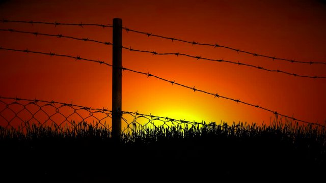 Barbed wire fence silhouette at sunset