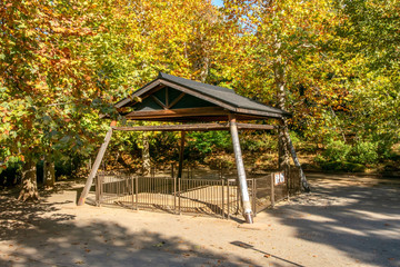 氷川の杜公園の土俵