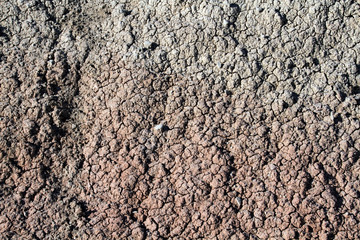 Example of South Dakota Badlands soil