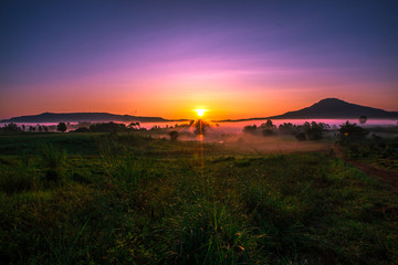 The abstract blurry background of the fog that covers the grass, the atmosphere is surrounded by various trees, cool and fresh air according to the natural ecology
