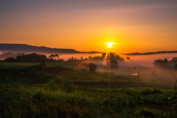 The abstract blurry background of the fog that covers the grass, the atmosphere is surrounded by various trees, cool and fresh air according to the natural ecology