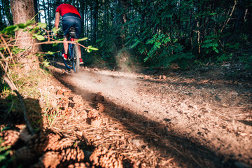 Biker riding his bike on a dirt trail through the woods, Xtreme cycling.
