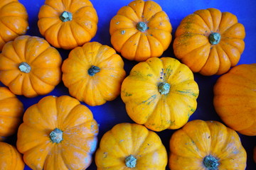 Mini orange pumpkins in bulk at the farmers market in the fall