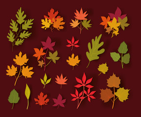 Set of autumn leaves vector design