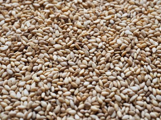 한국의 신선한 유기농 참깨 