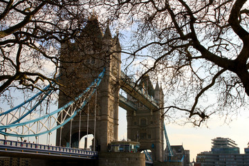 A beautiful view of Tower Bridge in London with trees in the foreground