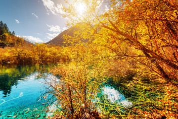 Amazing pond with azure crystal clear water among autumn woods