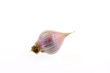 Garlic on a white background