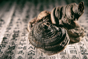 Chinese herbal medicine