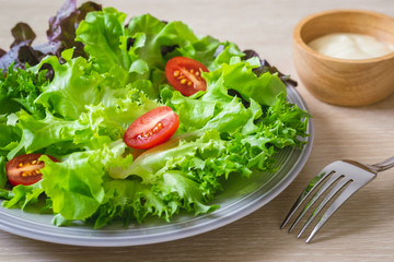 Fresh vegetable salad on plate.