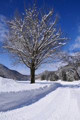 冬の晴れ間。昭和　福島　日本。１月下旬。