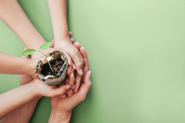 hands holding seedling plants in newspaper pot, montessori education , CSR  social responsibility, Eco green sustainable living, zero waste, plastic free, reponsible consumption, earth day concept - obrazy, fototapety, plakaty