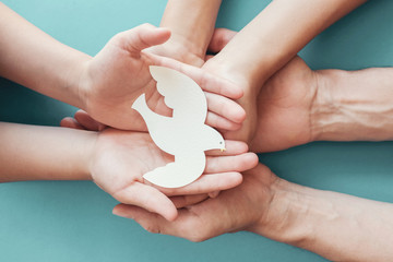 Adult and child hands holding white dove bird on blue background, international day of peace or...