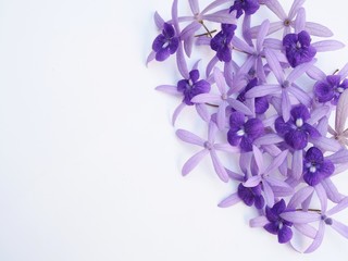 Flowers and wallpaper background with spring blossom petals of petrea volubilis or purple wreath flower.