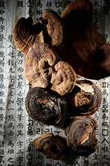 Chinese herbal medicine 