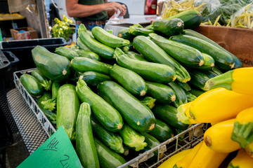 Zucchini and yellow squash for sale at a local farmer's market in Southern Oregon