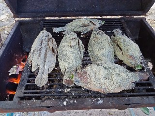 fish on grill