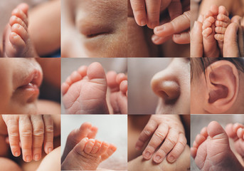 collage of photos: face, legs, hands of a child close-up. concept of childhood, health care, IVF,...