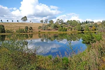 Fototapeta premium Panoramic view on the hills and lawns of The Australian Botanic Garden Mount Annan, New South Wales, Australia