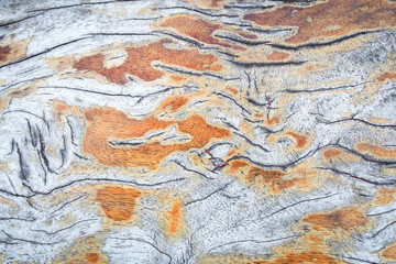 Vintage old wood pattern ideal as a background