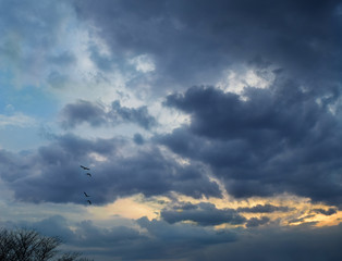 Sunset with Clouds and Geese Flying