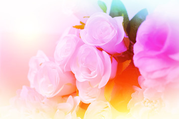 Fototapeta na wymiar Sweet colorful roses in soft and blur style for background