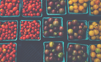 Fresh tomatoes on farmers market, California, USA. Pint baskets of organic colorful tomatoes on the counter at a farmers market. Organic vegetable stall. Selling fresh vegetables. Bio and eco food.