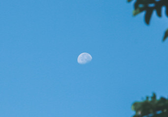 moon in the sky