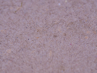 Abstract and closeup or macro photography of egg paper carton tray texture, rough pattern and brown gradient background.