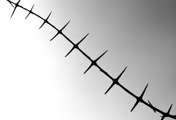 barbed wire isolated on white background