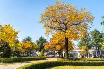 DAEGU, SOUTH KOREA - NOVEMBER 4, 2019: Classic building at Keimyung University in Daegu, South Korea. Keimyung University was founded by an American missionary as a Christian university.